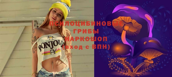 мяу мяу мука Верея