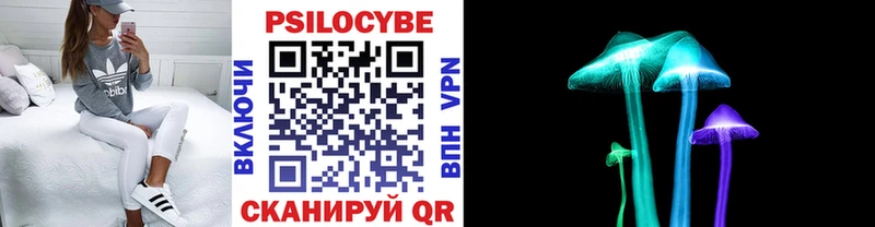 купить наркотик  Шуя  гидра как войти  Псилоцибиновые грибы ЛСД 