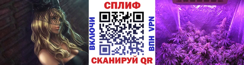Каннабис сатива  blacksprut зеркало  Шуя 